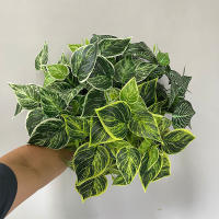 35cm Planta Artificial De 7 Cucharas Hojas De Planta Falsa Scindapsus Para Decoración De Jardín Oficina Casa Y Hotel Material Plástico - details 0