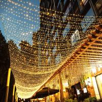Luces De Fairy LED 1.5M-100M Cadena Impermeable Para Exterior Guirnalda De Navidad Decoración De Fiesta De Boda USB/Batería/220V - details 10