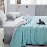 Almohadilla De Aire Para Verano De Seda Helada En Color Puro Manta Fría De Poliéster Suave Y Ligera Tamaño Twin/King - details 27