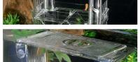 Nueva Incubadora De Peces Paon Azul En Acrílico Caja De Cría Acrílica Para Acuarios Tropicales Separador De Betta Tank Spawner Alec - details 13