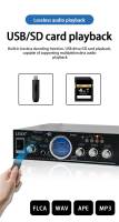 Amplificador De Sonido HiFi 200W + 200W Con Entrada Dual Para Microfono Para Karaoke Y Reproductor De Música Para Hogar Y Coche 220V/12V - details 4