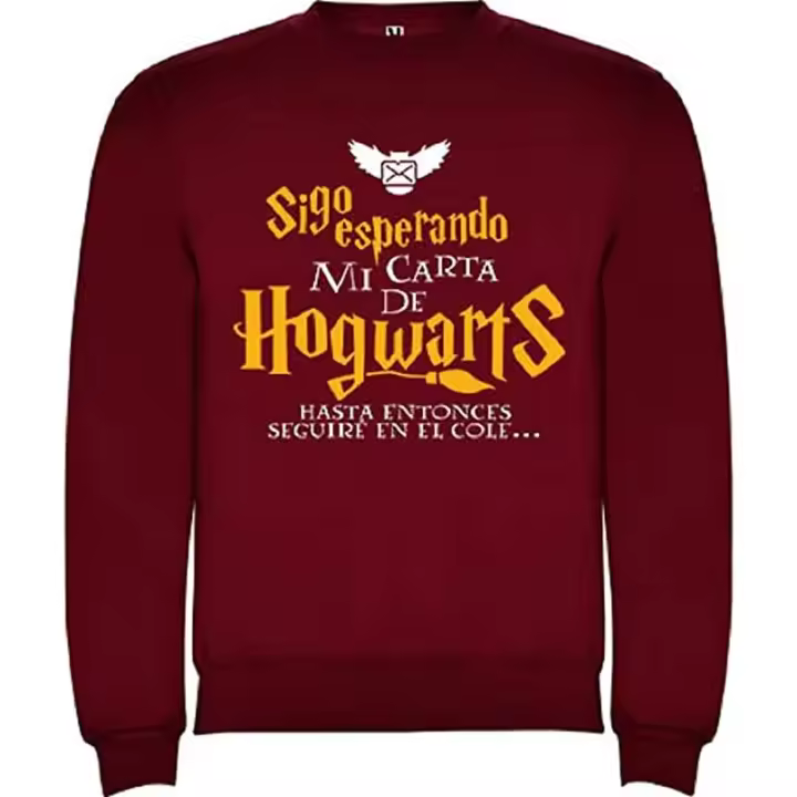 AKARURE Sudadera Niño/niña Inspirada en el Mundo Mágico - Esperando Carta Hogwarts - 1