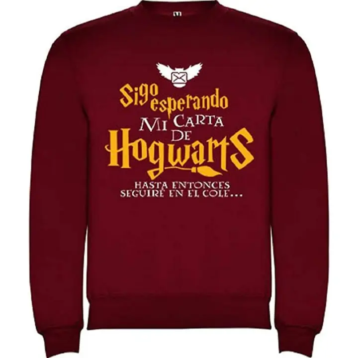 AKARURE Sudadera Niño/niña Inspirada en el Mundo Mágico - Esperando Carta Hogwarts - 1