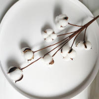 Rama De Algodón Artificial Blanca Para Decoración De Bodas Y Fiestas Flores Falsas Para El Hogar Y Exposiciones Con Hojas De Eucalipto - details 3