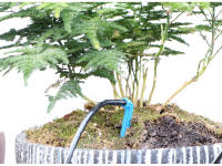 Sistema De Riego Por Drip Para Jardín Y Maceteros Con Transmisor 2-Maneras Y 4-Maneras 3/5mm Arrow Verde Herramienta De Jardinería - details 9