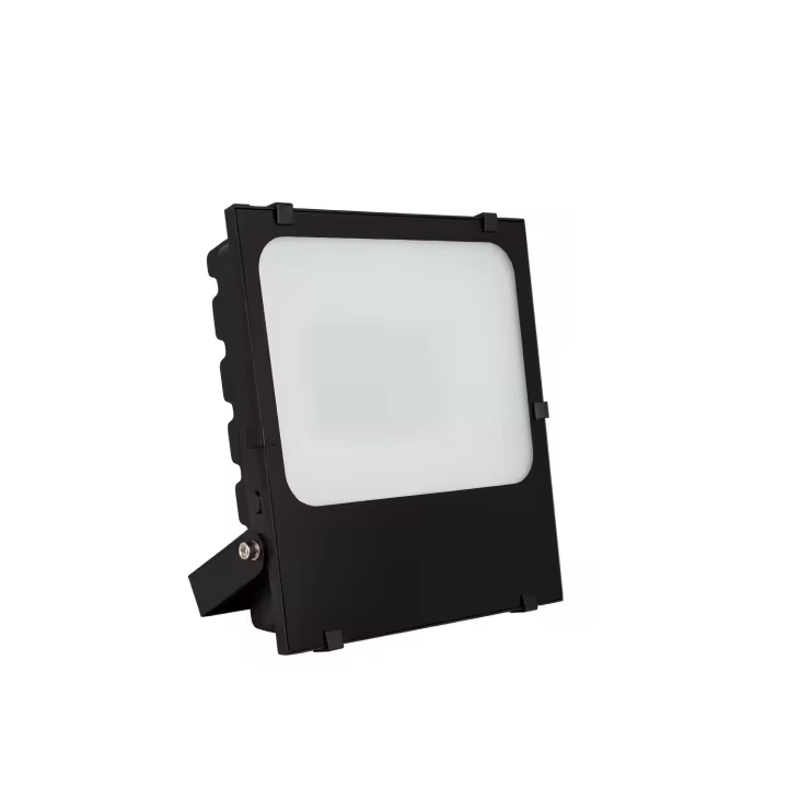 Ledkia Foco Proyector LED 50W 145 lm/W IP65 HE Frost PRO Regulable - 1