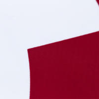 Bandera De La Victoria Del Sindicato Unido De Rusia CCCP USSR WW2 WWII 1945 Para Decoración 90x150 CM FLAGLINK - details 2