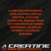 Pack 3 Creatinas Monohidrato 300g + Shaker (regalo) - Addition Pro│MUSCLECULT - details 2