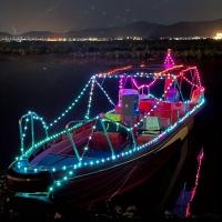 Cadena De Luces LED RGB WS2812B 20m 10m 5m DIY Inteligente IC APP Bluetooth Remote Para Jardín Fiesta Navidad Boda Decoración - details 7