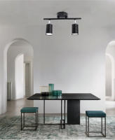 Lámpara De Techo LED Ajustable Para Sala De Estar Dormitorio Y Cocina Decoración Negra Con 2/3/4 Cabezas Rotativas Diseño De Iluminación Spot - details 4