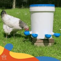 Kit De 5 Piezas Alimentador Y Bebedor Automático Para Ponedoras Herramienta De Cría De Pollos Suministro De Agua Y Alimento Para Ponedoras - details 0