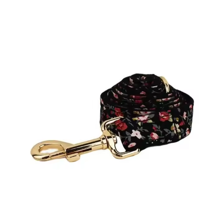 Conjunto Correa Perro, Collar con nombre personalizado Perros Pequeños y medianos, Placa Identificación personalizada, arnés - 1