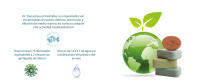 Dr. Tree Duo Sólidos Hidratación Infantil, Champú Sólido Hidratante + Gel de Ducha Sólido Junior, Hidrata y Acondiciona, Sin Sulfatos SLE, SLS, Sin parabenos, Sin siliconas, 75gr + 75gr - details 7