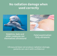Dispositivo De Terapia Ultrasonida Para El Hogar Alivio Del Dolor De Cintura Y Corporal Equipo De Física Artritis Masaje Ultrasonido - details 14