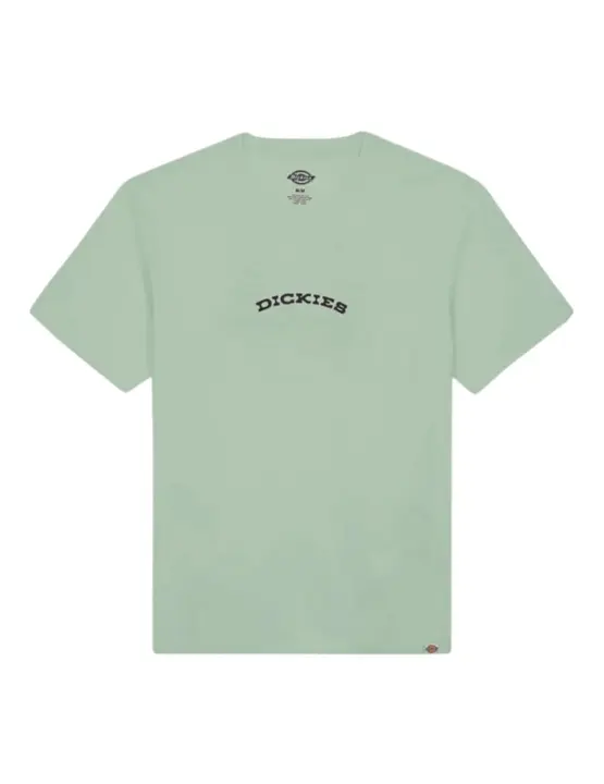 Camiseta Dickies Outdoor Egret Hombre Verde - 1
