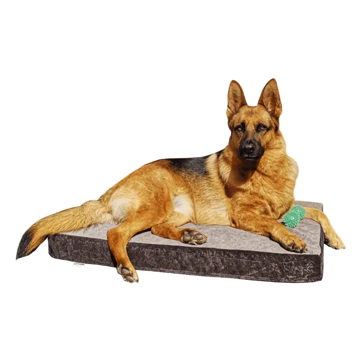 K´Foam Store - Cama para Perros Breathair - 1