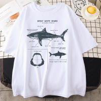 Camiseta De Tiburón Blanco Grande Para Hombre Estilo Hip Hop Punk Casual Manga Corta Verano Prenda Deportiva Teekossc - details 12