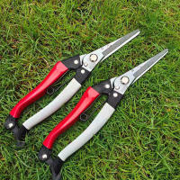Tijeras De Podar De Acero Al Carbono Para Frutas Y Árboles Herramienta De Corte Para Plantas Bonsái Tijeras Rectas De Jardín - details 1