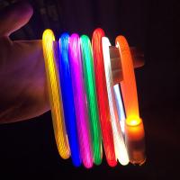 Collar De Brillo Para Perros Ajustable Recargable Por USB Seguridad Nocturna Collar Luminoso Para Paseos Nocturnos - details 0