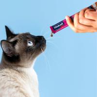 Vitakraft Snack Líquido para Gatos con Salmón y Omega 3, 90 g - Bajo en Calorías, sin Conservantes Artificiales - details 0