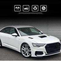 Cubierta De Ventosa Decorativa Para Coche Universal 40cm Adhesivo Para Parachoques Frontal Adecuado Para Cualquier Vehículo Con Cabeza Plana - details 16