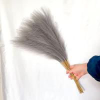 10Pcs 55cm Mini Pampas Sintética Hierba Artificial Planta Falsa Rama De Juncos Para Decoración De Hogar Sala De Estar Cocina Bodas Estilo Boho - details 4