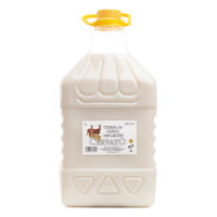 CervatO Crema de Arroz con Leche Garrafa PET 3 Litros "“Uno de los postres mas tradicionales transformado en Crema de Licor" - details 2
