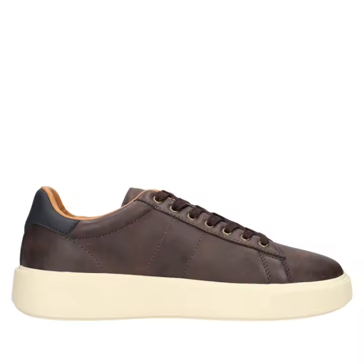 BLAUER BUCK01 F4BUCK01/NUB MARRN - 1