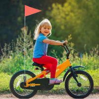 Bandera De Seguridad Para Bicicleta Con Palo De Fibra De Carbono Y Bandera Colgante Triangular Para Niños - details 0