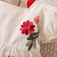 Vestido De Bebé Para Niña Estilizado Con Flores Estilo Chino Y Occidental Vestido De Verano Para Niñas (0-3 Años) - details 3