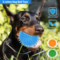 Juguetes Para Perros Pequeños Y Medianos 3Pcs Bola Masticable De Espina Suave TPR Con Sonido Squeaky Flotante Para Piscina Juguete Para Arrojar Y Buscar - details 2