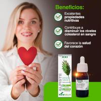 Extracto de Alpiste Soria Natural - Contribuye a Mantener Niveles Normales de Colesterol y Azúcar - Antioxidante - Drenaje Renal - details 3