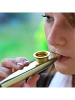 Kazoo De Metal Instrumento Musical Flauta Diáfragma Para Compañero Ideal Para Guitarra - details 5