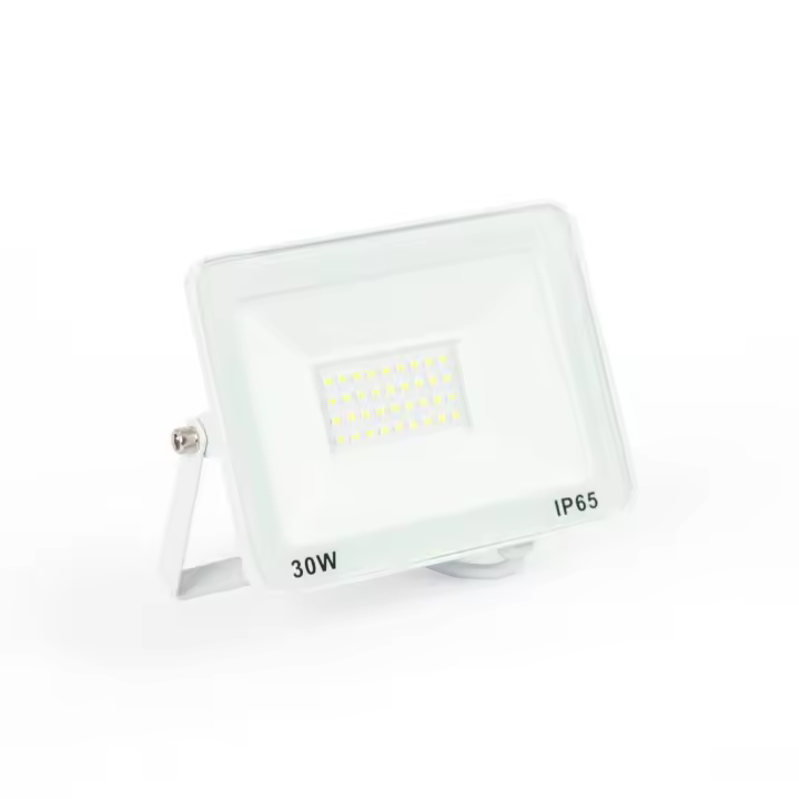 Barcelona LED Proyector LED exterior 30W - 95lm/W - IP65 - Blanco - 1