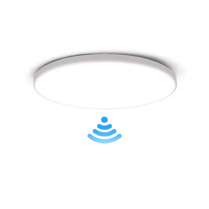 Lámpara De Techo Inteligente Con Sensor De Radar Y LED 20W 30W Sensor De Movimiento Para Porches Pasillos Corredores Balcones Luz Nocturna Moderna - 1