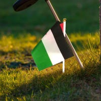 Pequeña Bandera De Palestina Portátil 5/10/20 Piezas Con Palo De Plástico Resistente Al Desvanecimiento Para Eventos Polyester - details 0