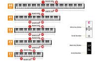 Pegatinas De Teclado De Piano Para 37 49 54 61 88 Teclas Blancas Y Negras Etiquetas Musicales Para Teclado Electrónico - details 1