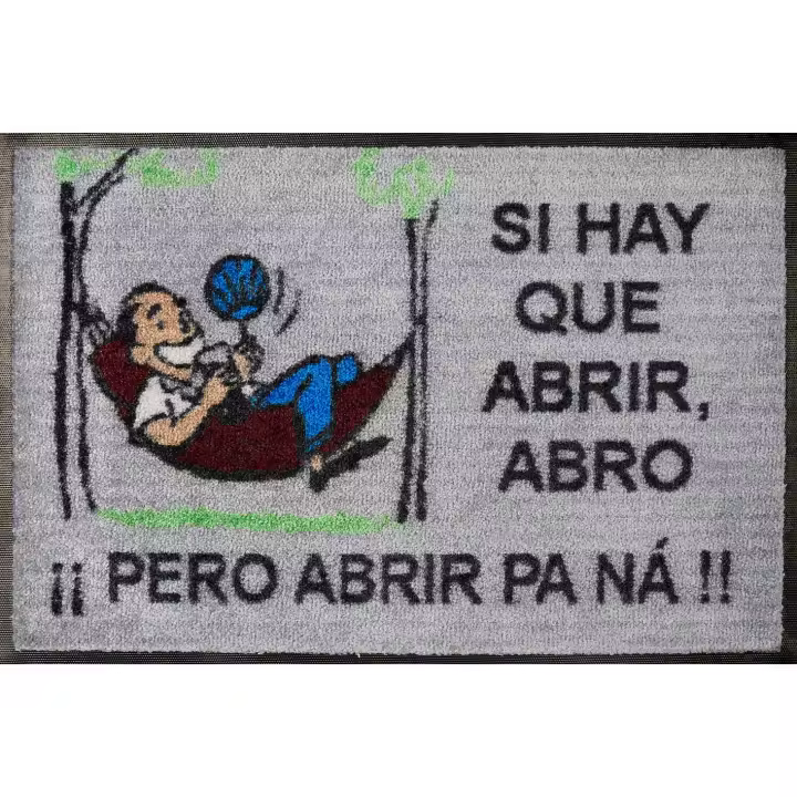 Felpudo Paso Lavable y Antideslizante - Regalo Original - Gris - 1