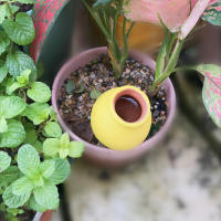 1Pc Sistema De Riego Automático De Cerámica Portátil Para Cultivo De Macetas Dispositivo De Agujero Para Verter Y Medir El Agua - details 5