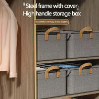 Caja De Almacenamiento Plegable Con Marco De Acero Cationico Multi-compartimento Para Ropa Y Pantalones Ecológico Para El Hogar - details 2