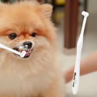 Cepillo De Dientes Suave Para Perros Y Puppies Elimina El Mal Aliento Accesorios De Cuidado Dental Universal Material PBT Y Plástico - details 3
