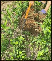 Pala De Hierba Multifuncional Desmontable De Acero Al Mánganes Esp�adilla Agrícola Para El Hogar Herramienta De Riego - details 5