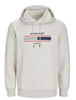 Jack & Jones Hombre sudadera con Capucha Grosor 270 grs Mod JJSOUTH Logo Frontal Moda Casual Informal - details 4