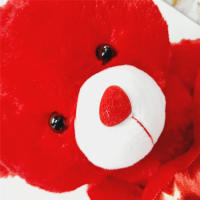 Peluche Osito Con Corazon TE AMO 40cm COLOR ROJO,te amo te quiero,Día de San Valentín,cm,fespu - details 1