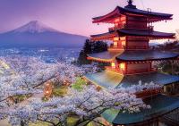 Educa - Puzzle de 2000 Piezas , Monte Fuji Japón. Incluye Pegamento Fix Puzzle. + 14 años Educa 16775 - details 1