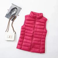 Chaqueta De Pato Blanco Sin Mangas Para Mujer 2023 Nueva Primavera Antigolpes Ligera Y Cálida Chaleco Estilo Casual Colorido - details 8