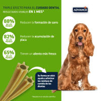 Advance Dental Care Stick Medium-Maxi, 7 unidades y 28 unidades, Snack Dentale Canino , Barras Dentales para Perros, Elimina la Placa y Fortalece los Dientes - details 0