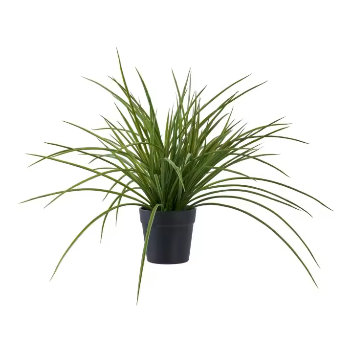 Planta encantadora artificial, plástico PE, verde, 51x51x45 cm - 1