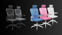 Mars Gaming MGC-ERGOPLUS, Silla Ergonómica Profesional, Soporte Lumbar Dinámico Adaptable, Malla Transpirable, Altura Regulable entre 115-125cm, Reposabrazos Plegables, Reposacabezas Ajustable, Silla Gaming Gris, Negra, Blanca, Azul o Rosa - details 1
