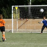Red De Entrenamiento De Fútbol Para Jóvenes Red De Tiro Libre Para Práctica De Golazos Equipo De Entrenamiento De Deportes Al Aire Libre - details 3